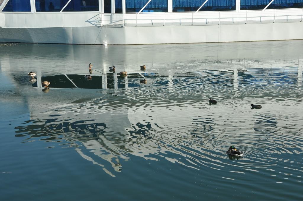 Hotel Brod Panini Veles Exterior foto